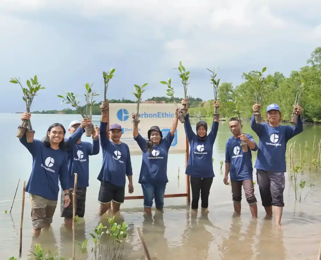 Kegiatan CSR Penanaman Mangrove