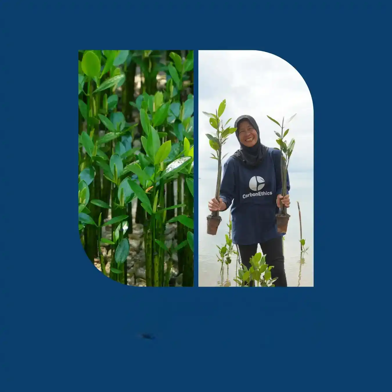 Paket Dampak