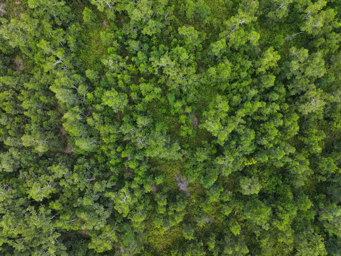 Impact Background