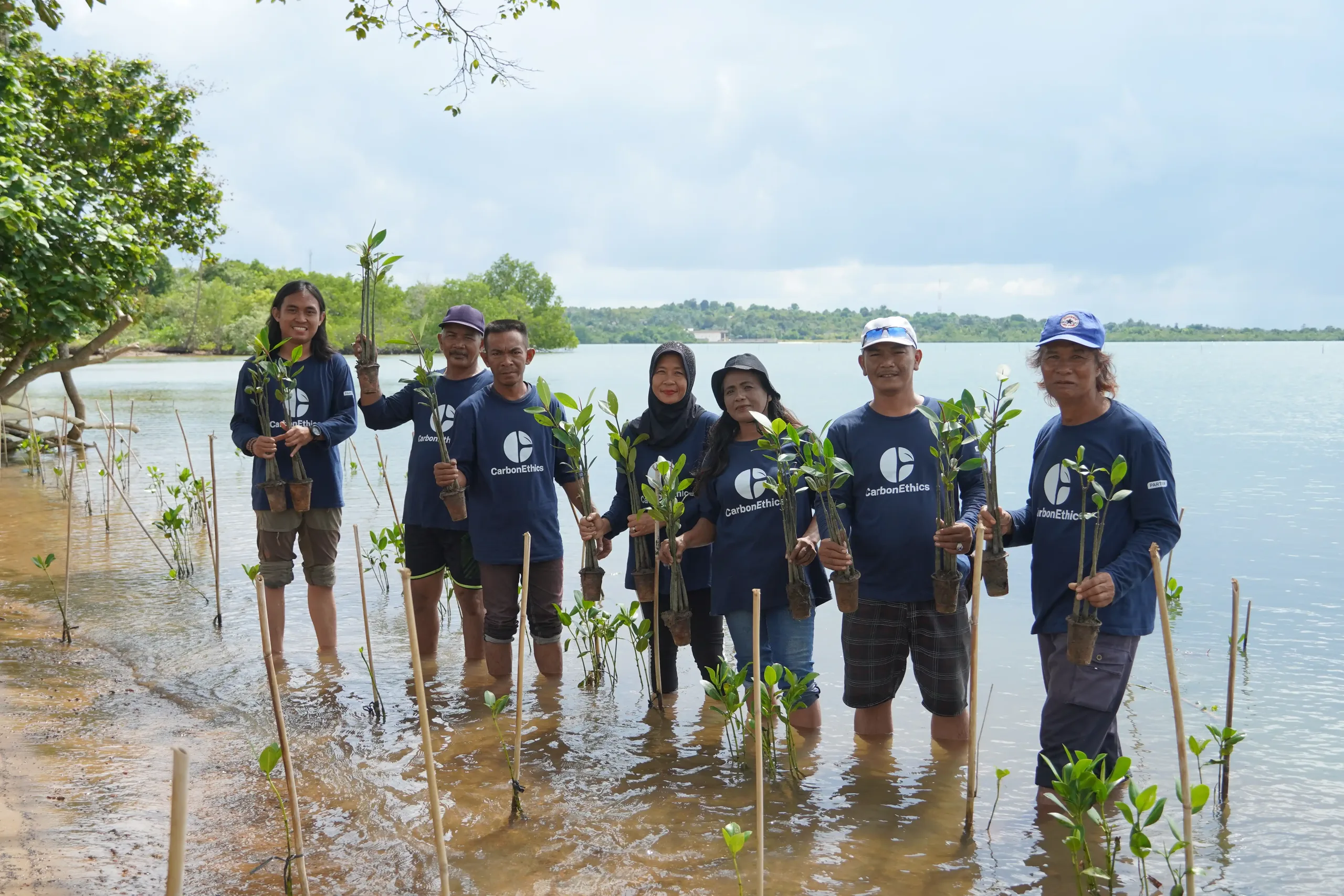 CarbonEthics team planting mangroves in the water