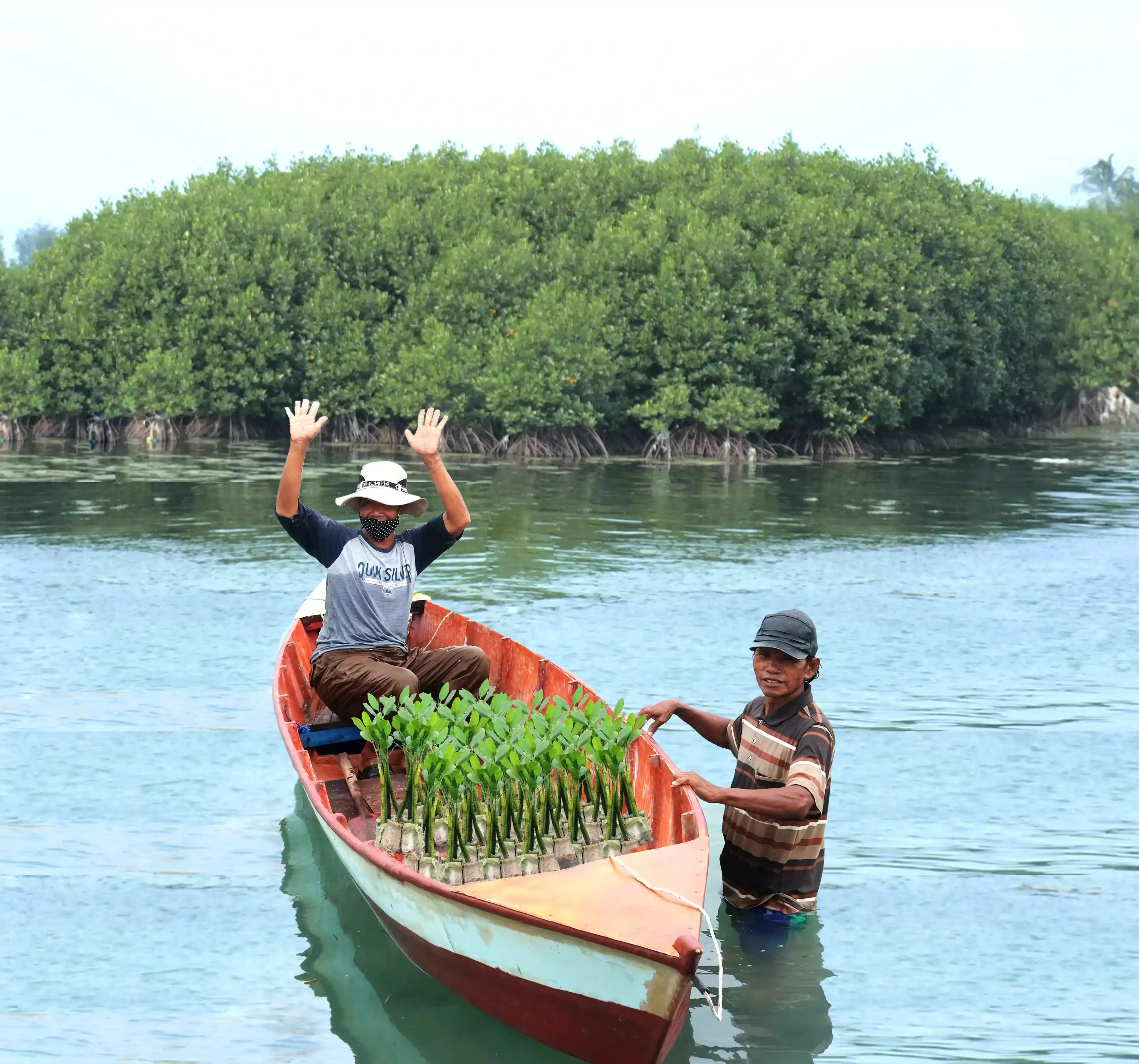 CarbonEthics team carrying mangrove seedlings on a boat