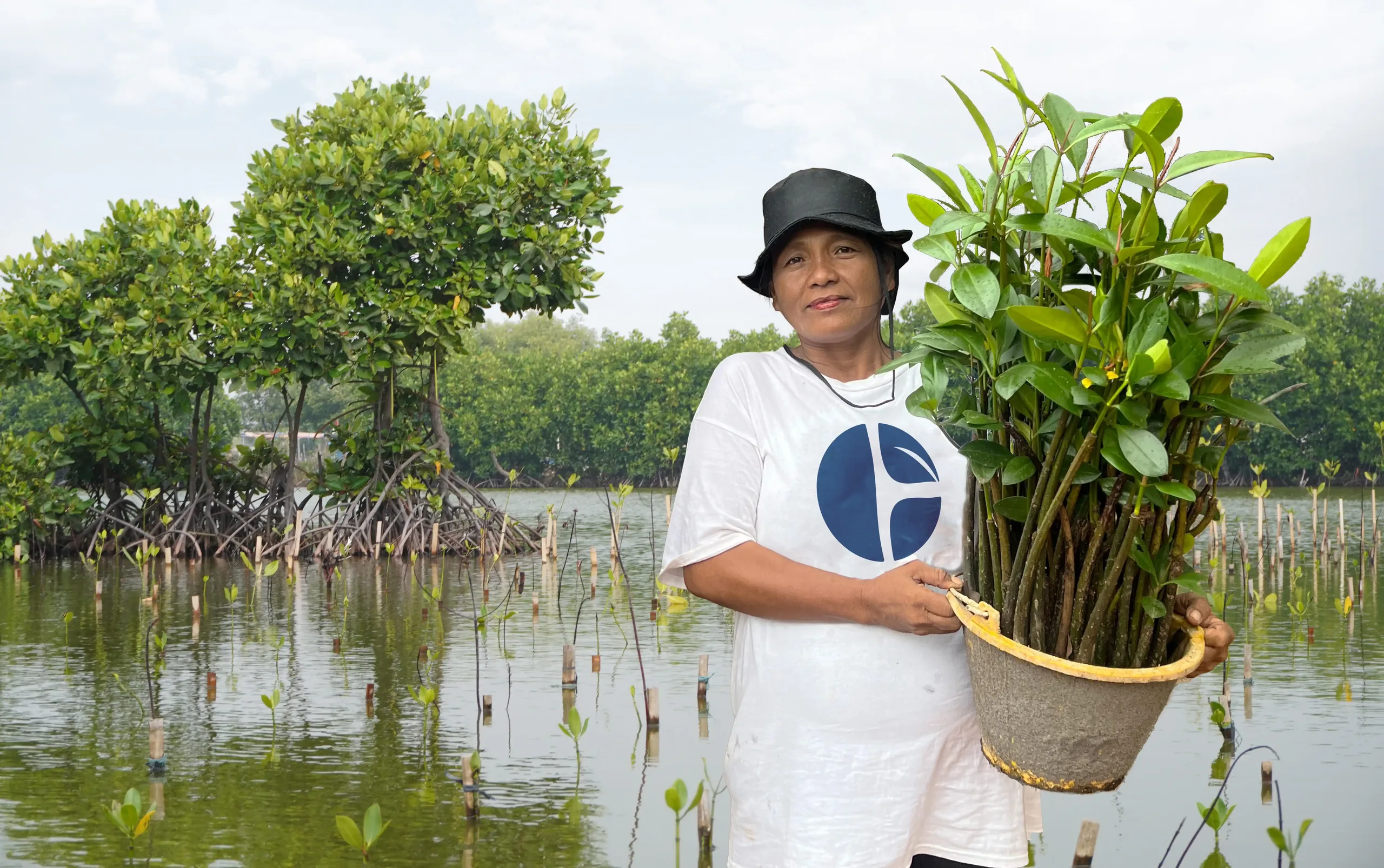 CarbonEthics team and local community planting mangroves together