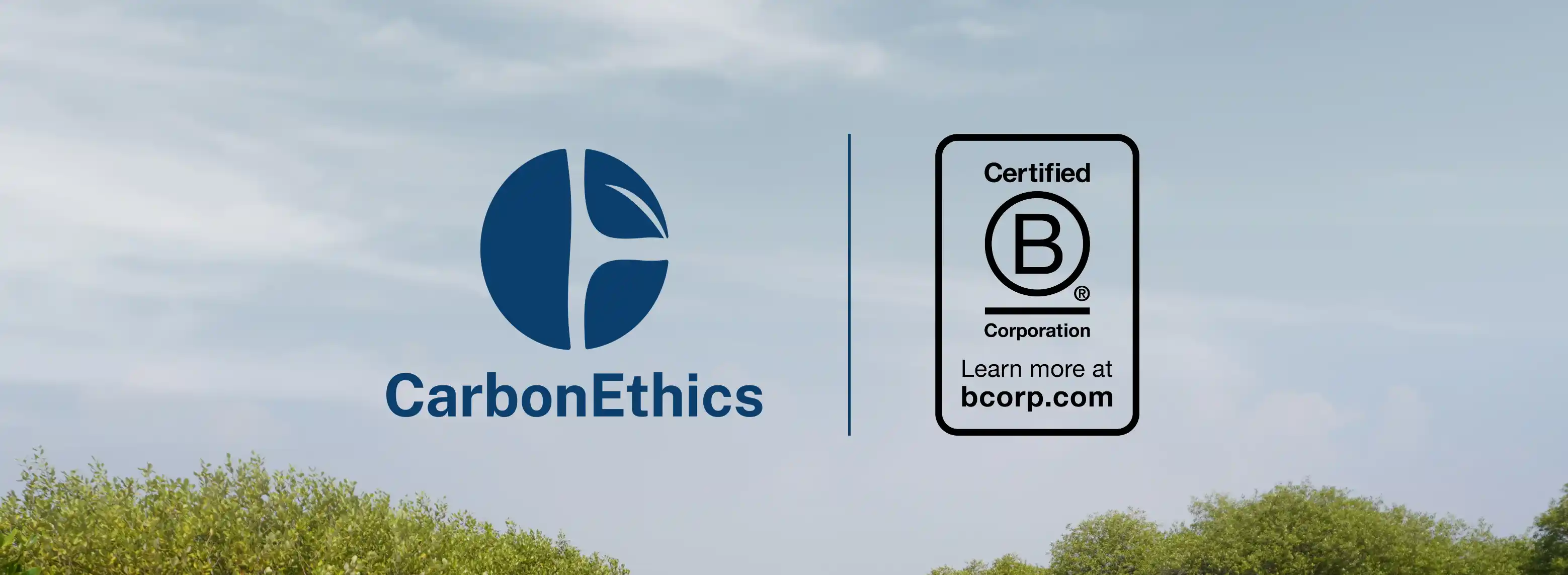CarbonEthics Impact landscape