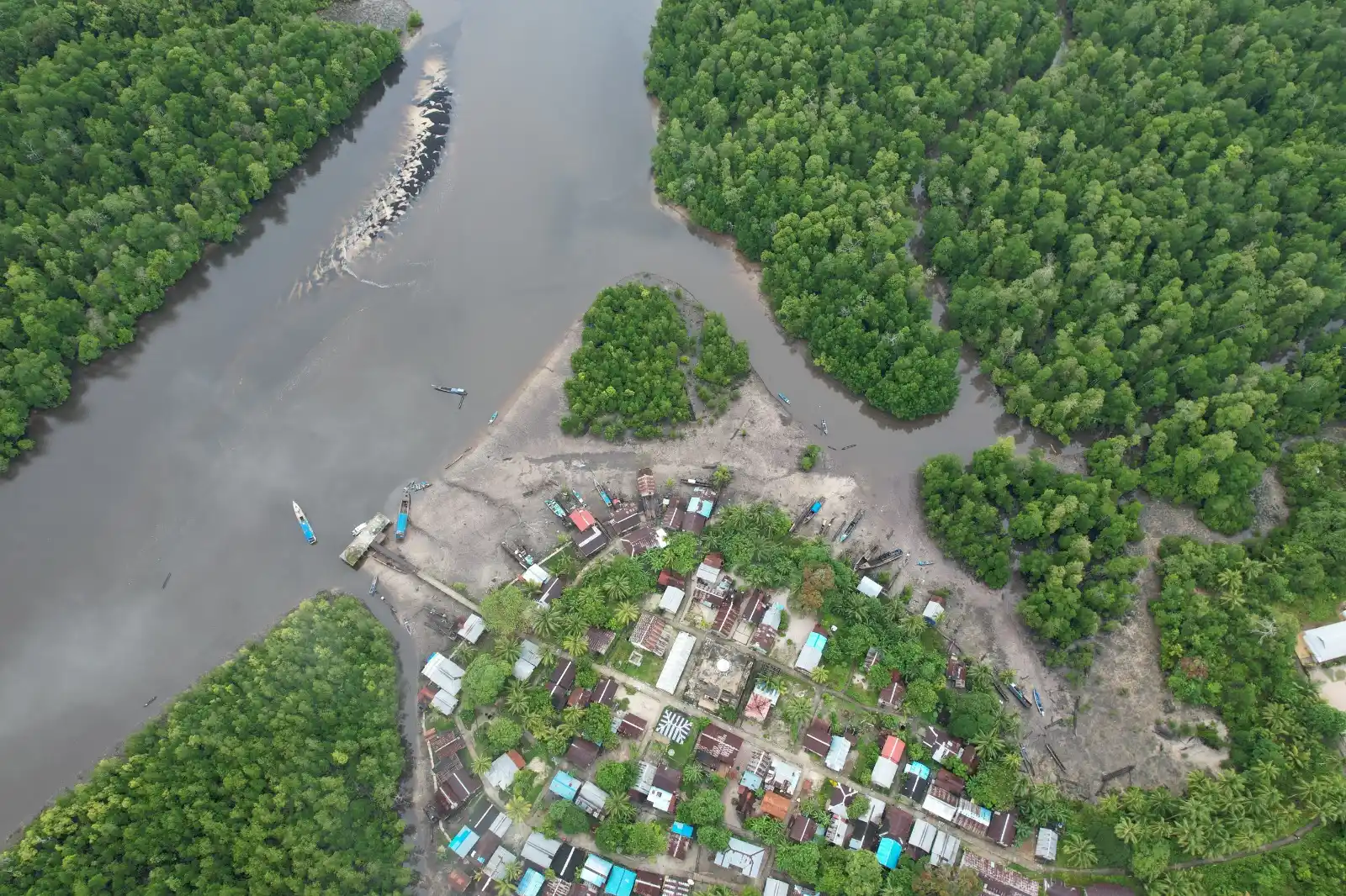 Aerial view of dense tropical forest