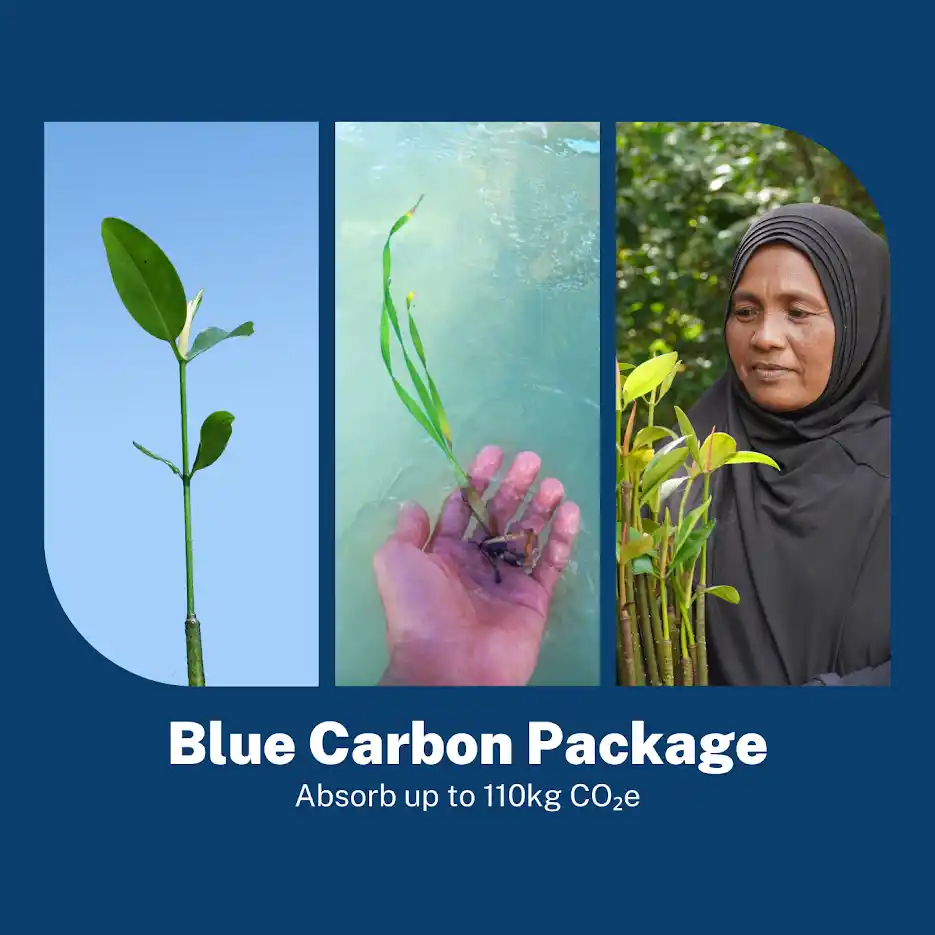 CSR Package Gallery 1