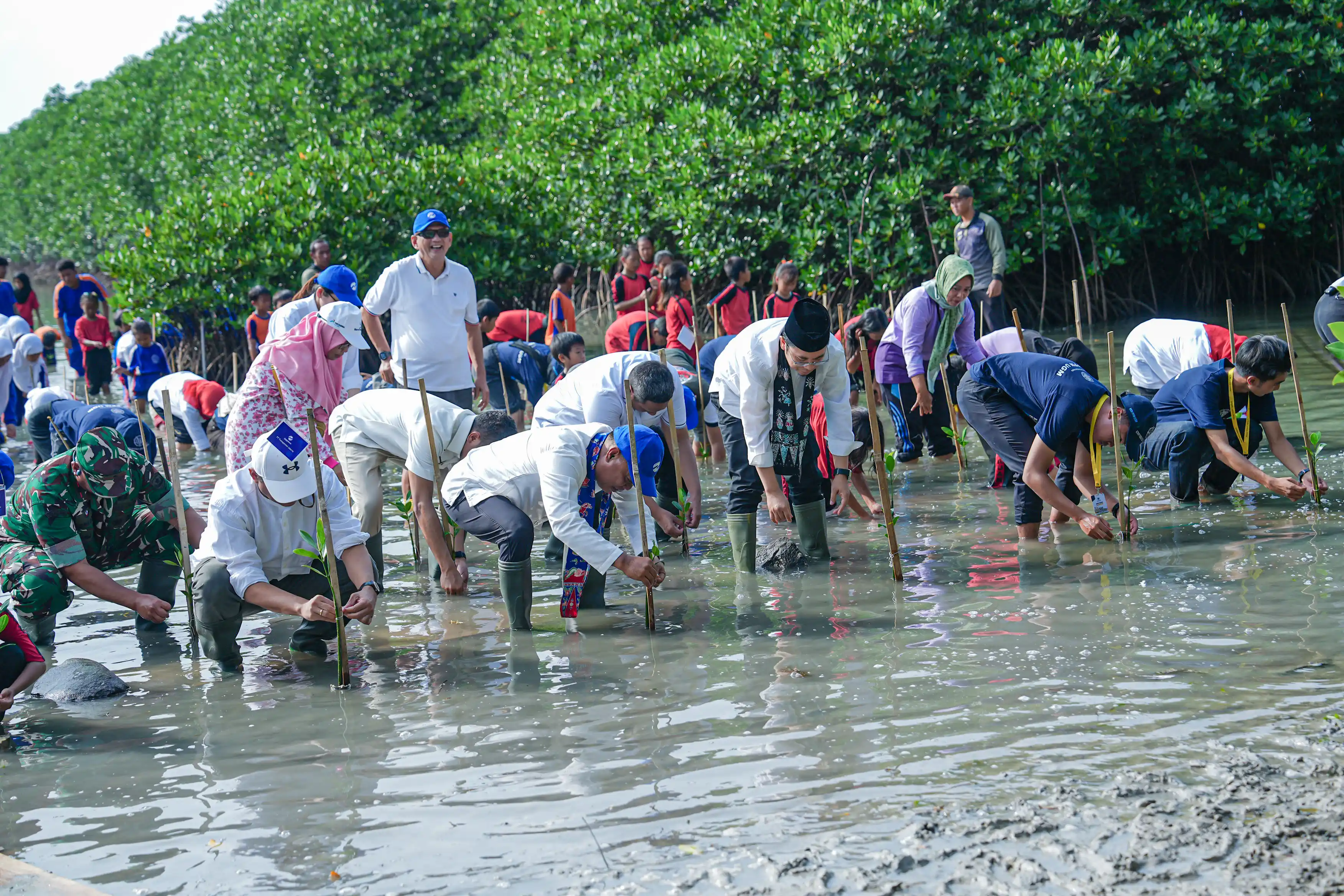 Ikut Tanam Mangrove untuk Udara Bersih Jakarta 4