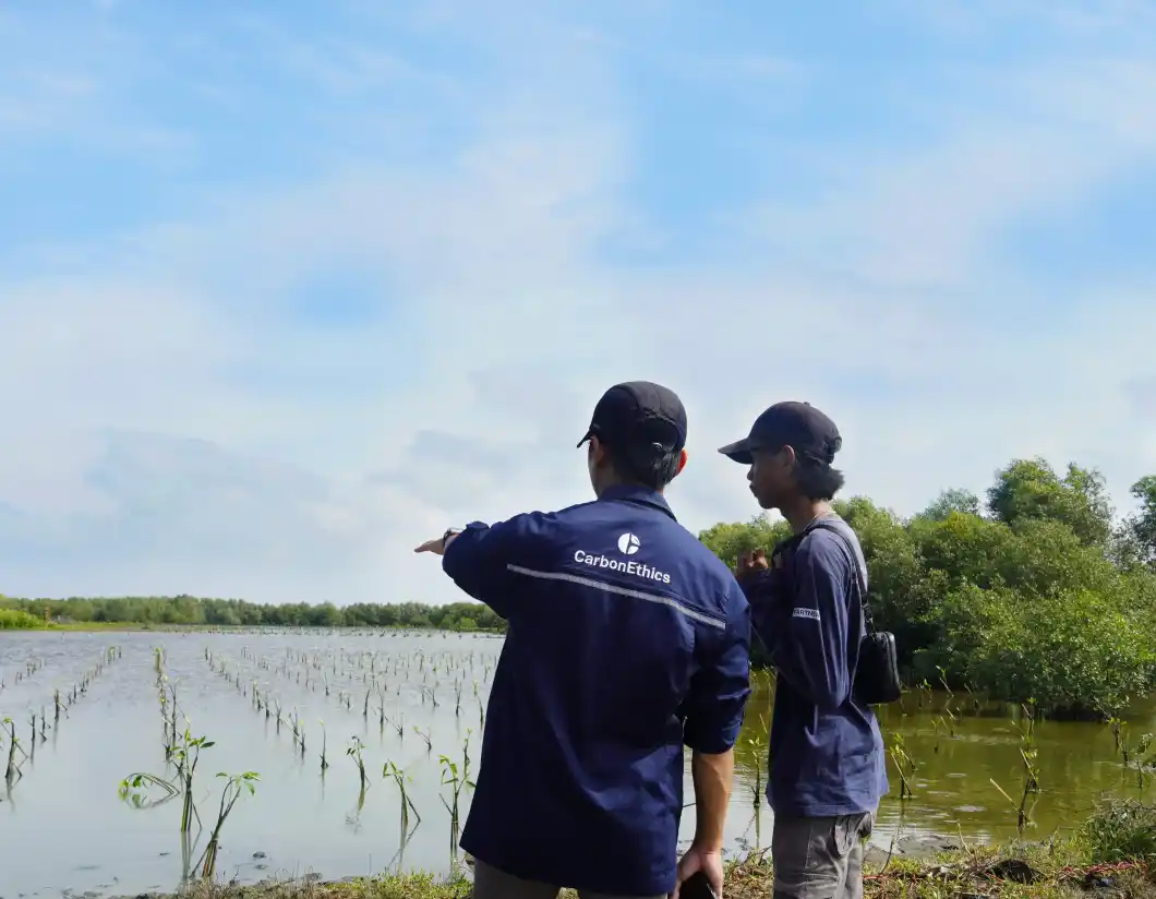 Mangrove Rehabilitation and Community Development - West Java