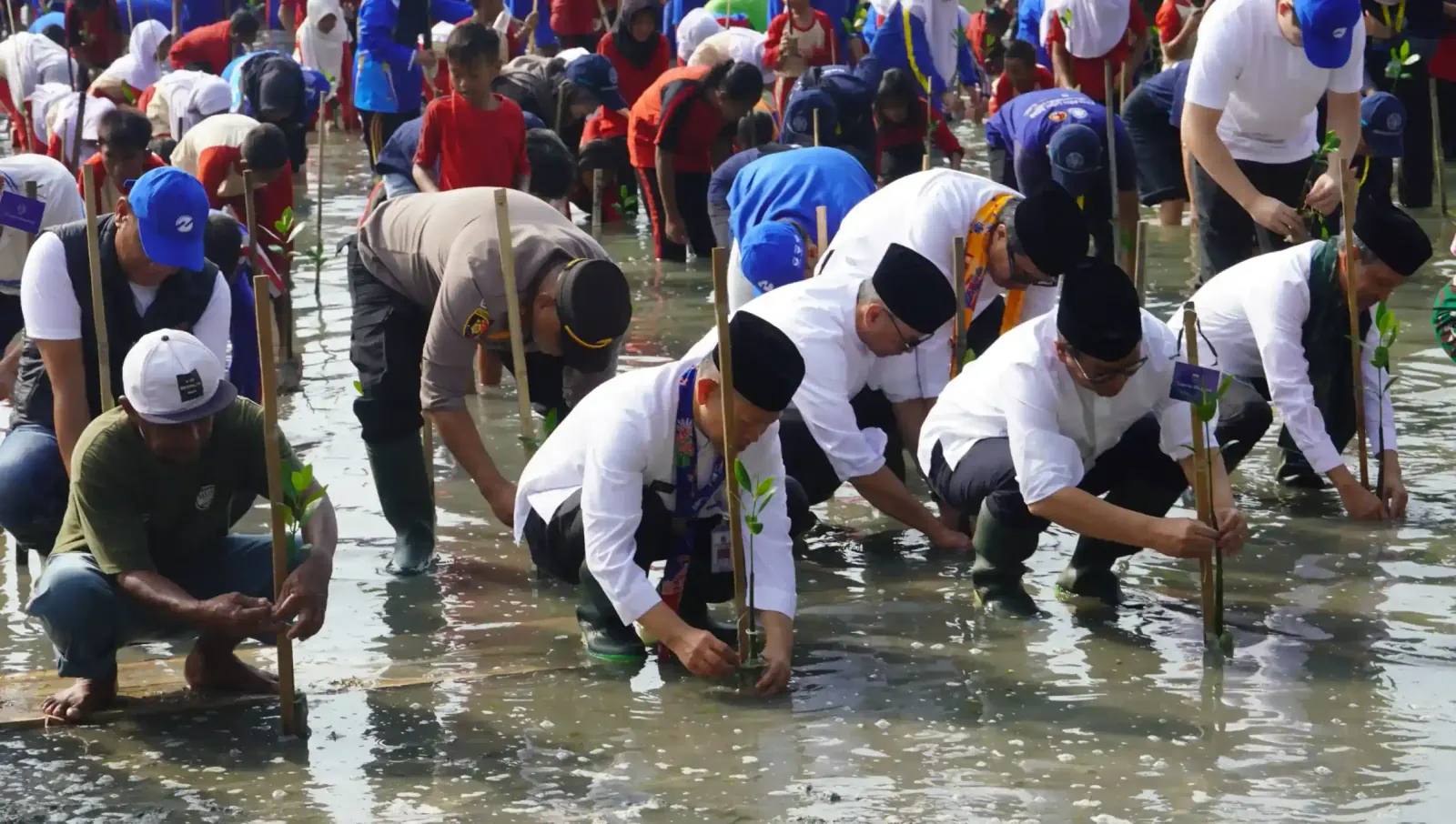 Adegan Sorotan 3