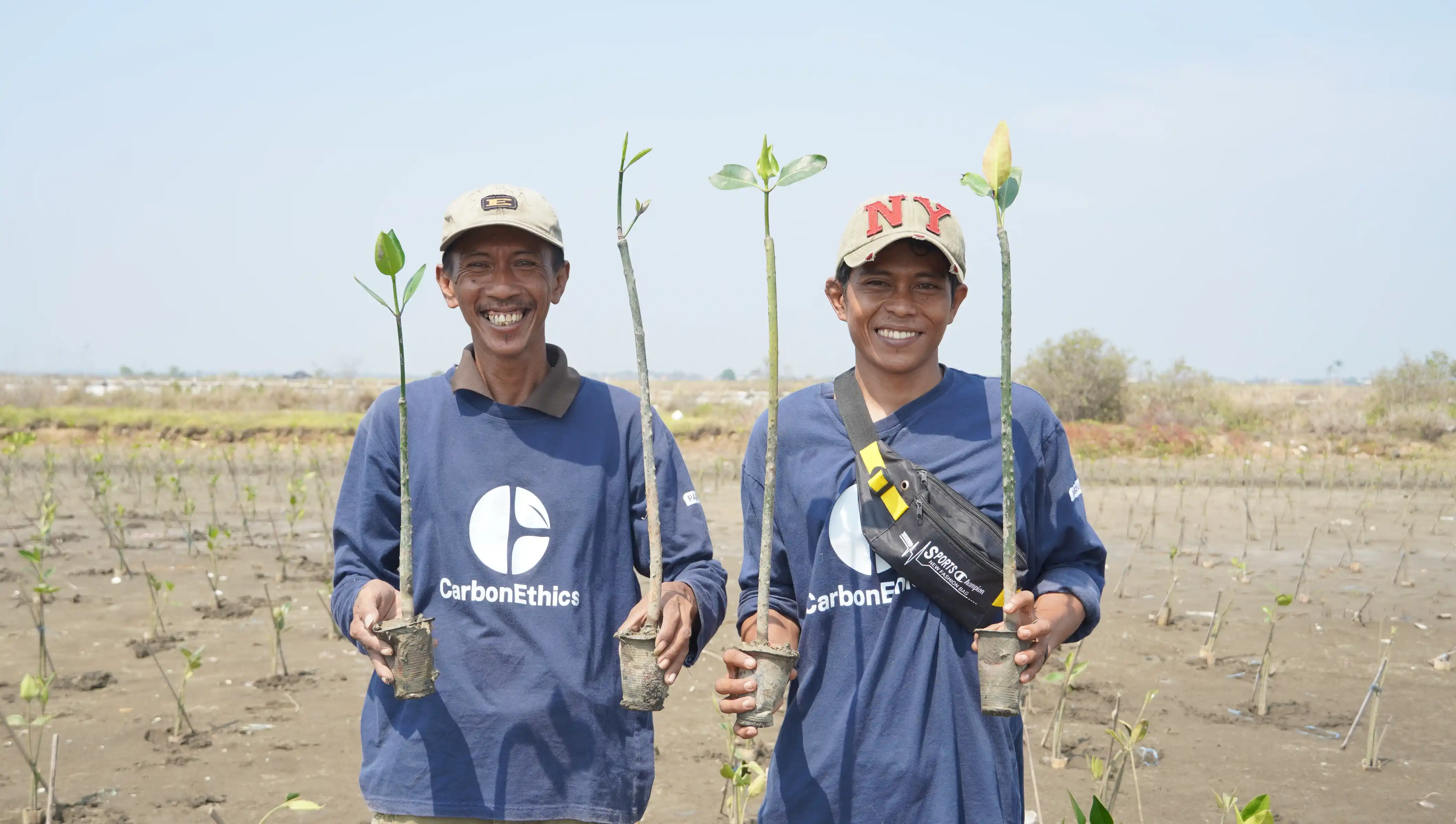 Environmental Impact