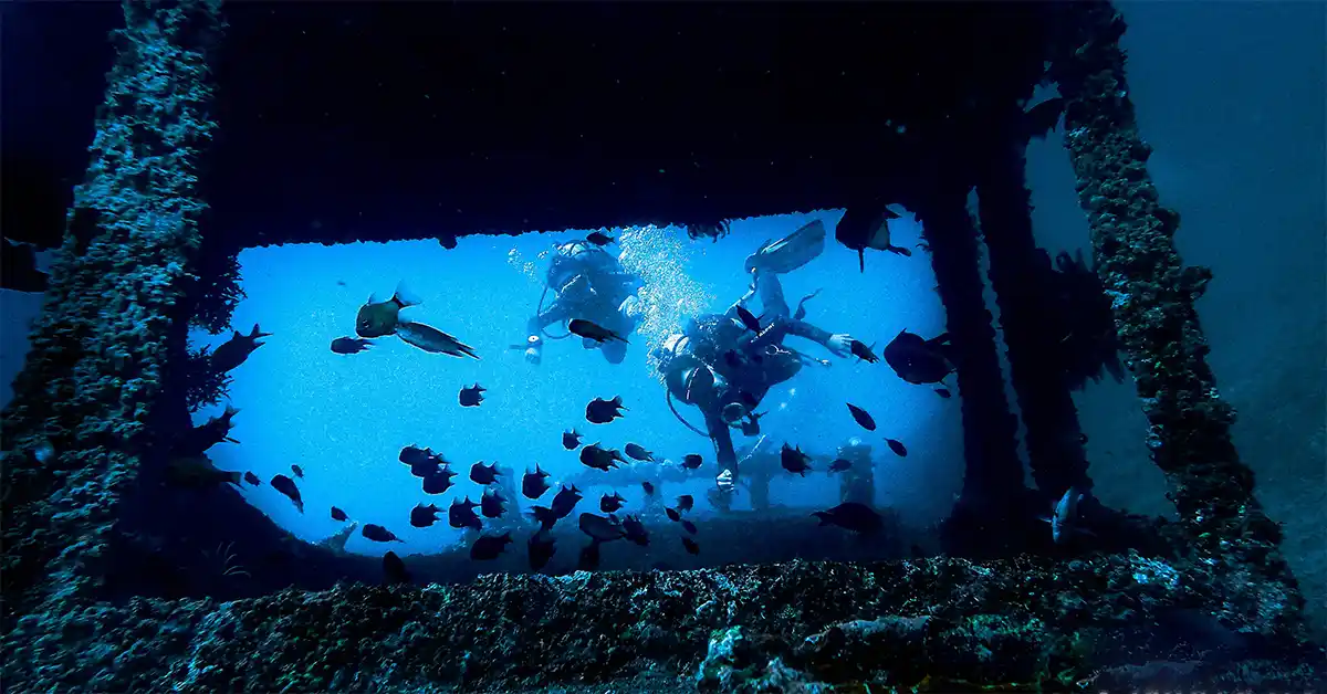 Thriving Marine Biodiversity