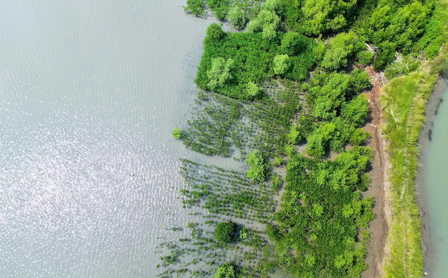 Landscape Restoration