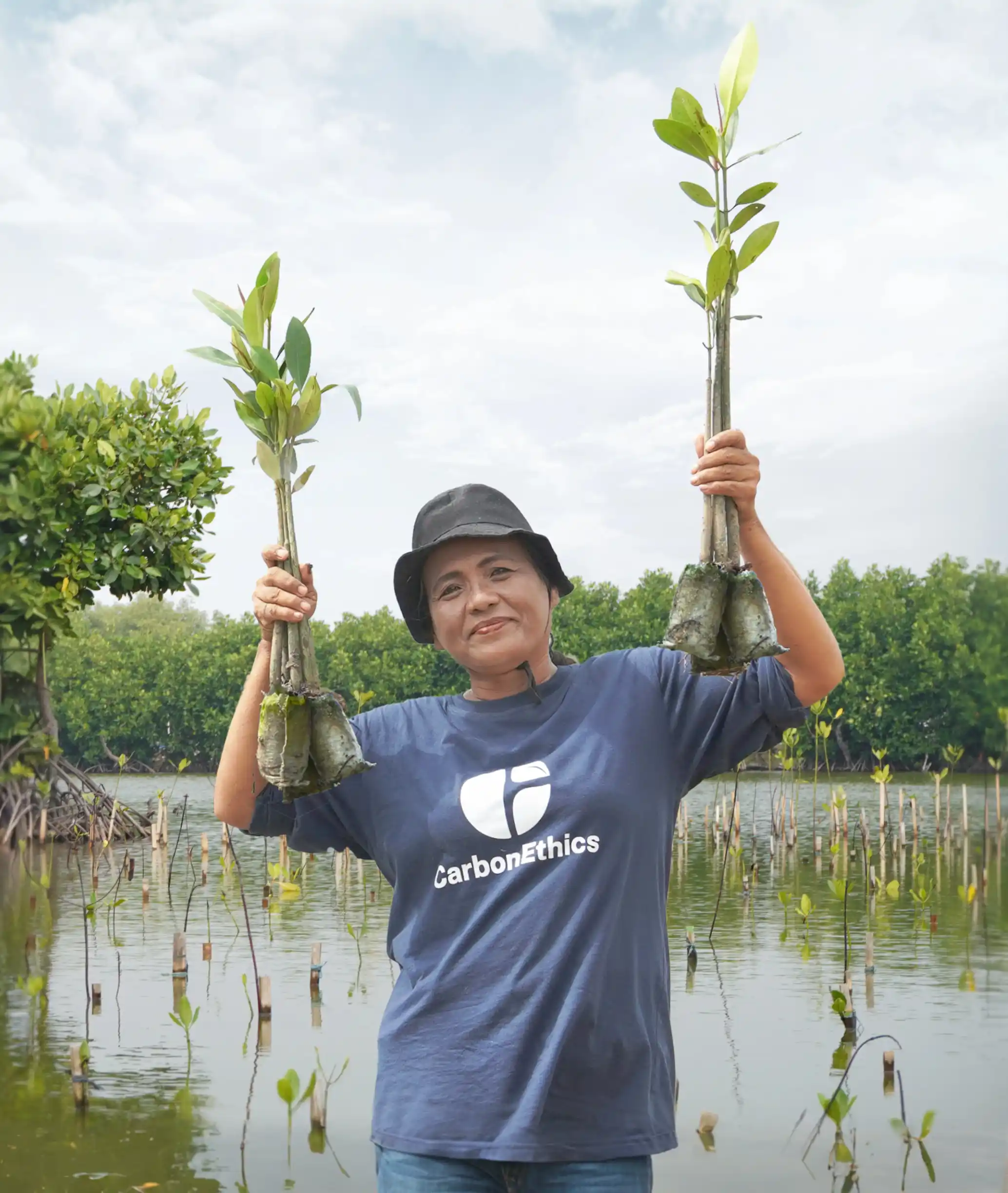 Tree Planting