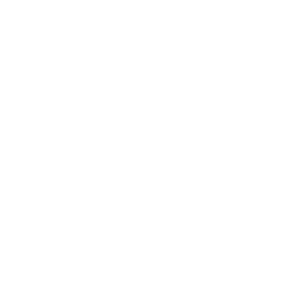 Metric icon