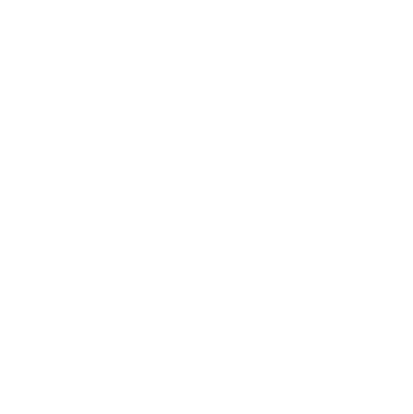 Metric icon