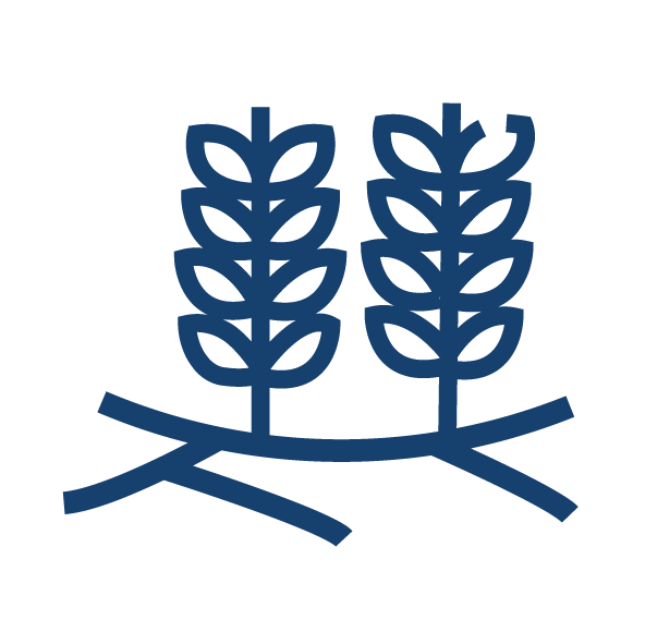 Step icon