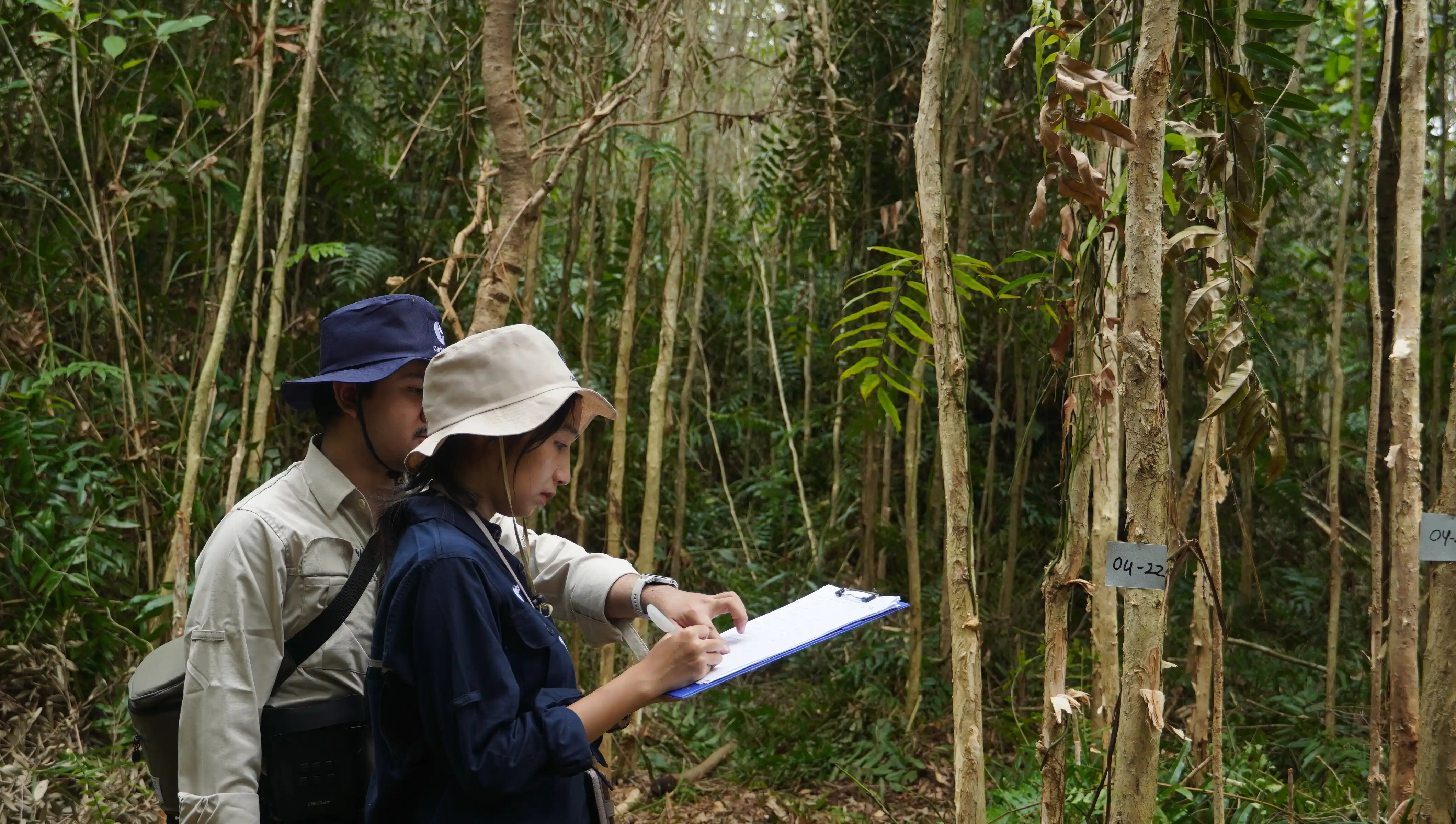 CarbonEthics team monitoring mangroves