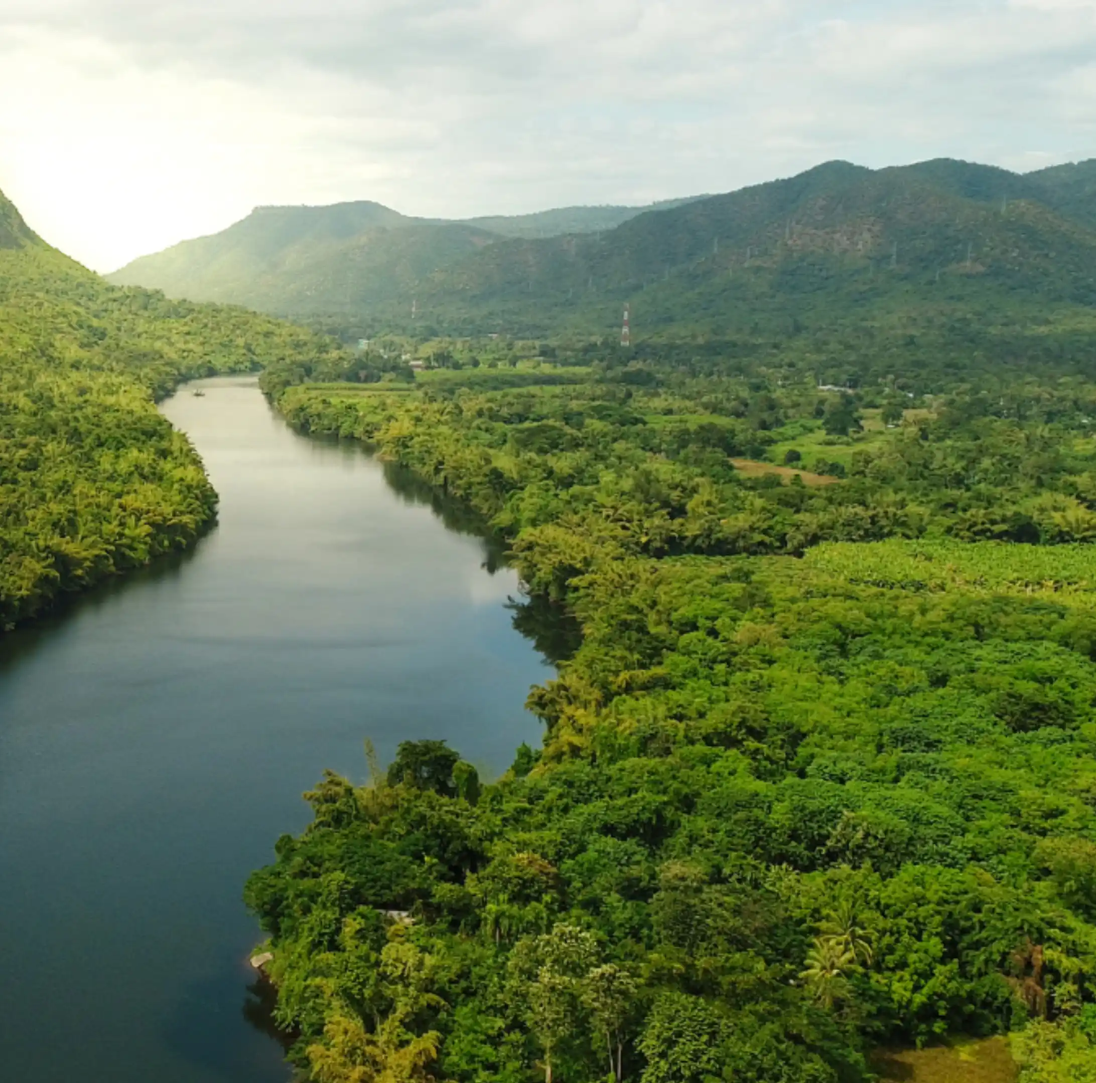 CarbonEthics Impact landscape