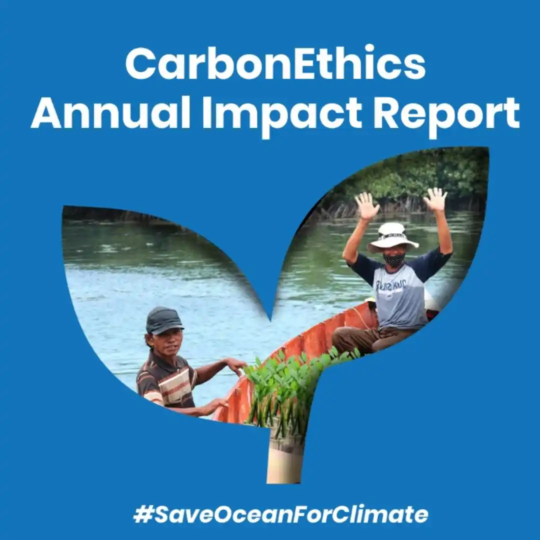 Report Cover