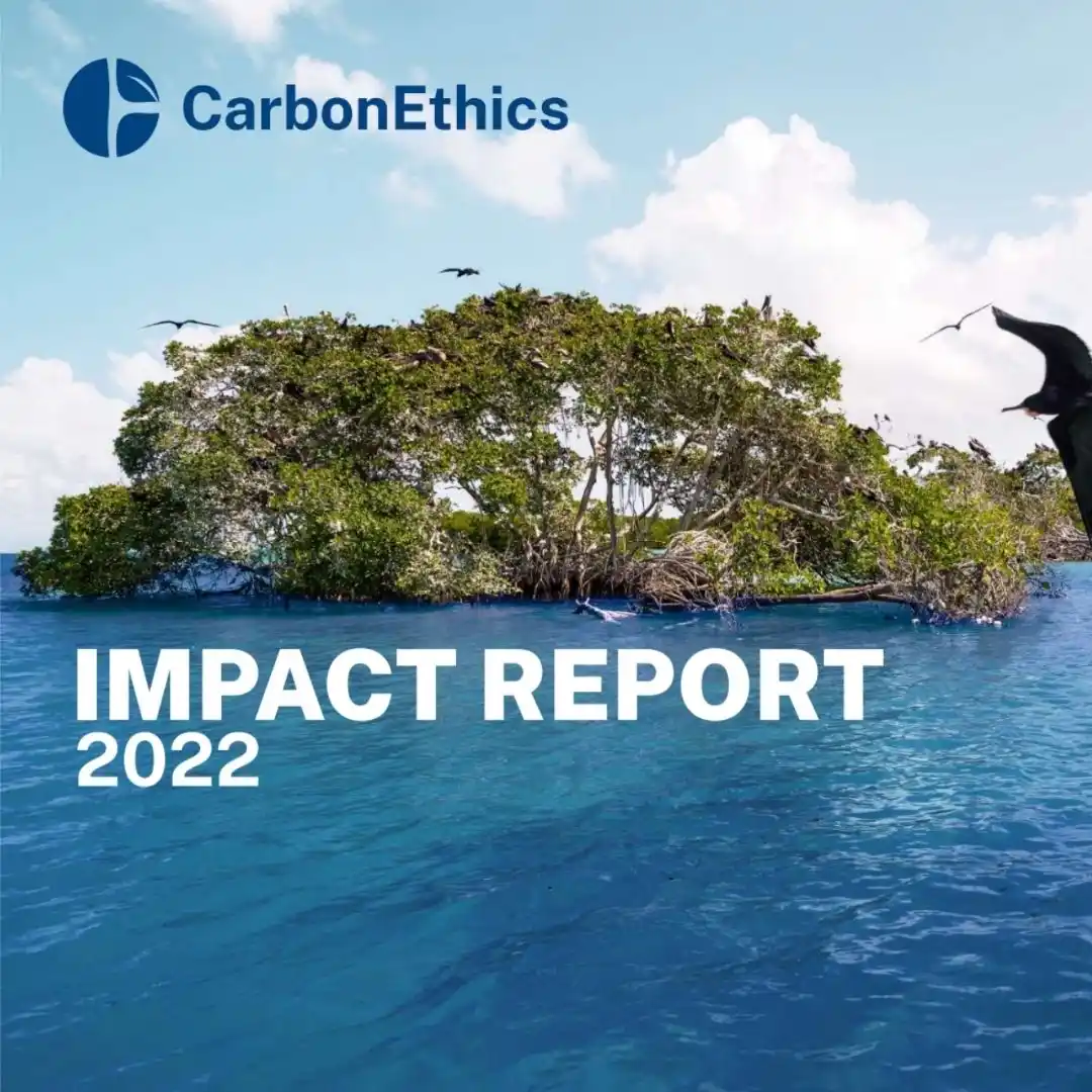 Report Cover