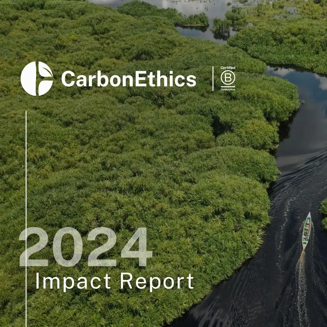 Report Cover
