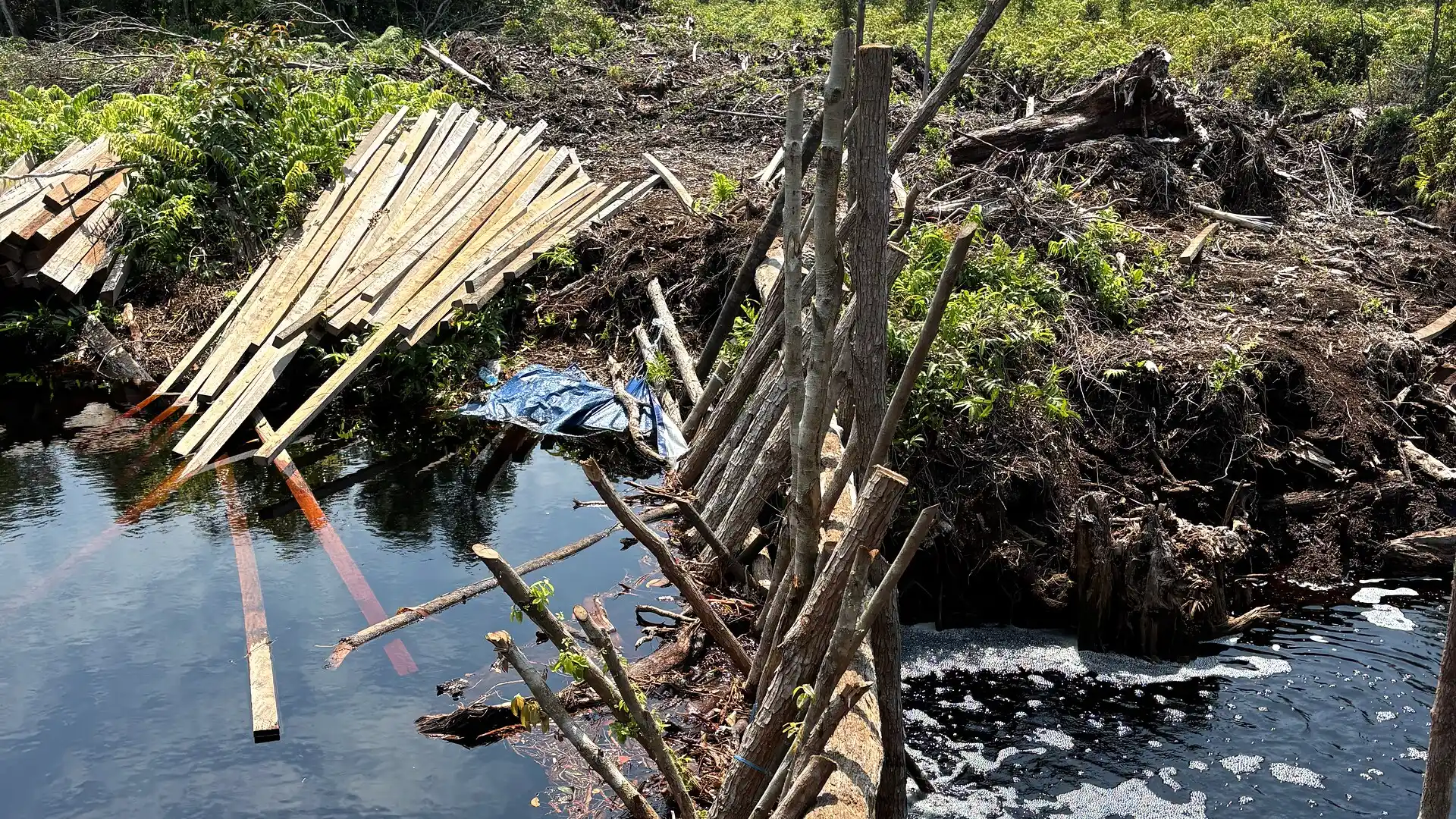 Hydrological Restoration