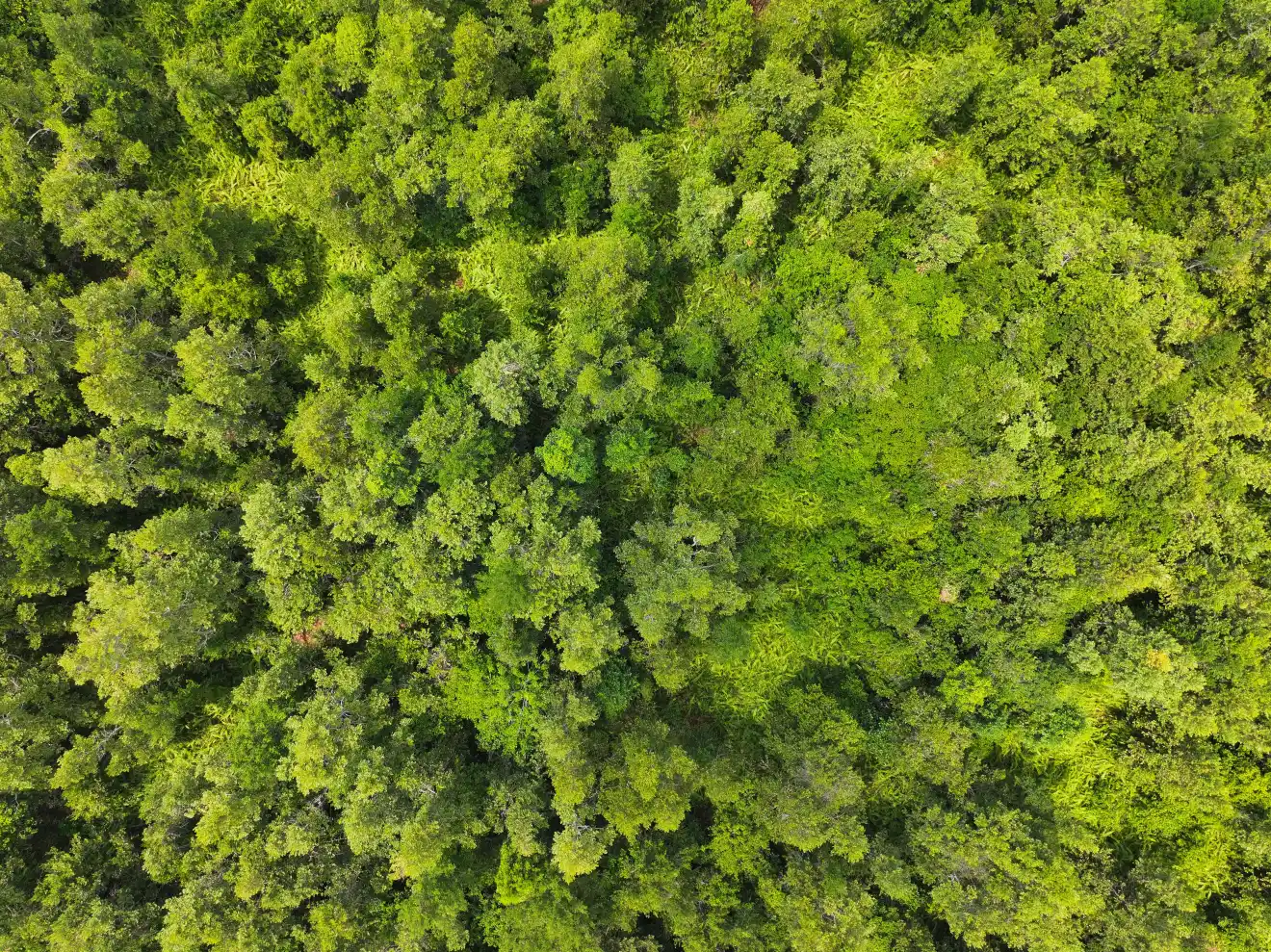 Climate Image