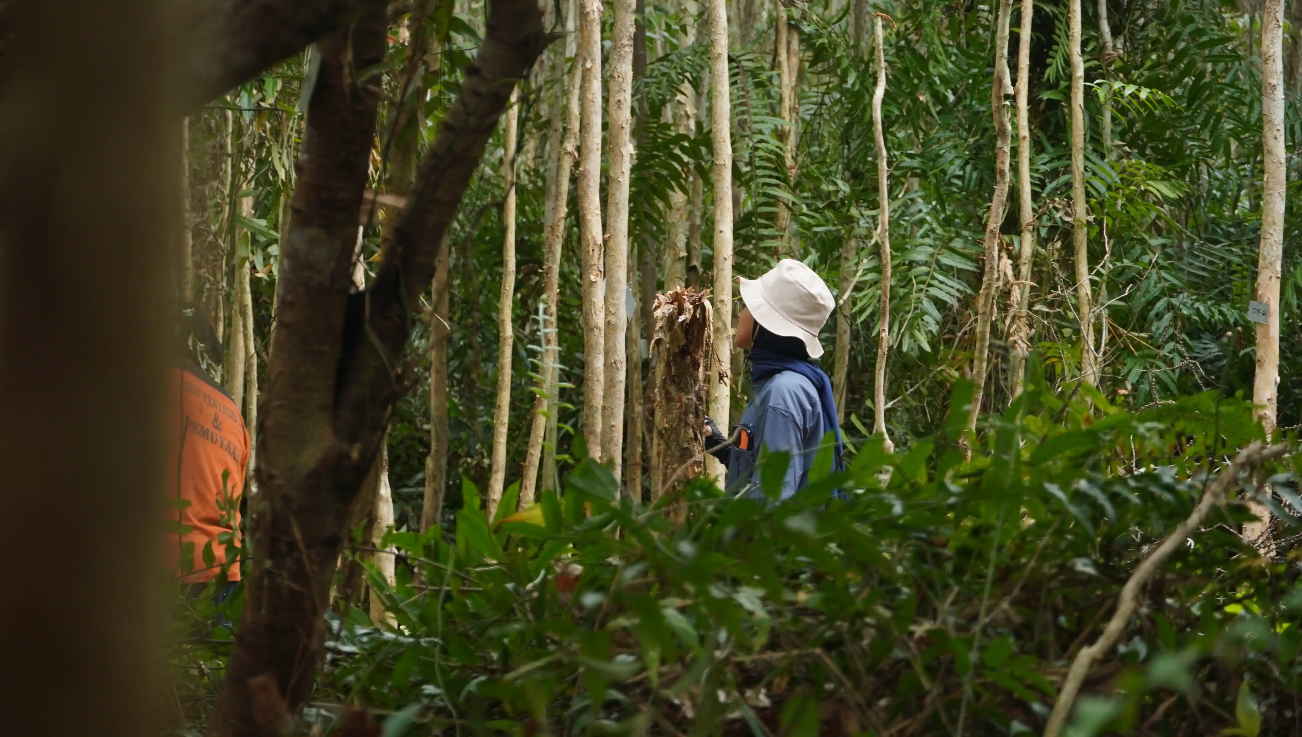 Pulang Pisau PRESERVE - Peatland Restoration and Fire Prevention