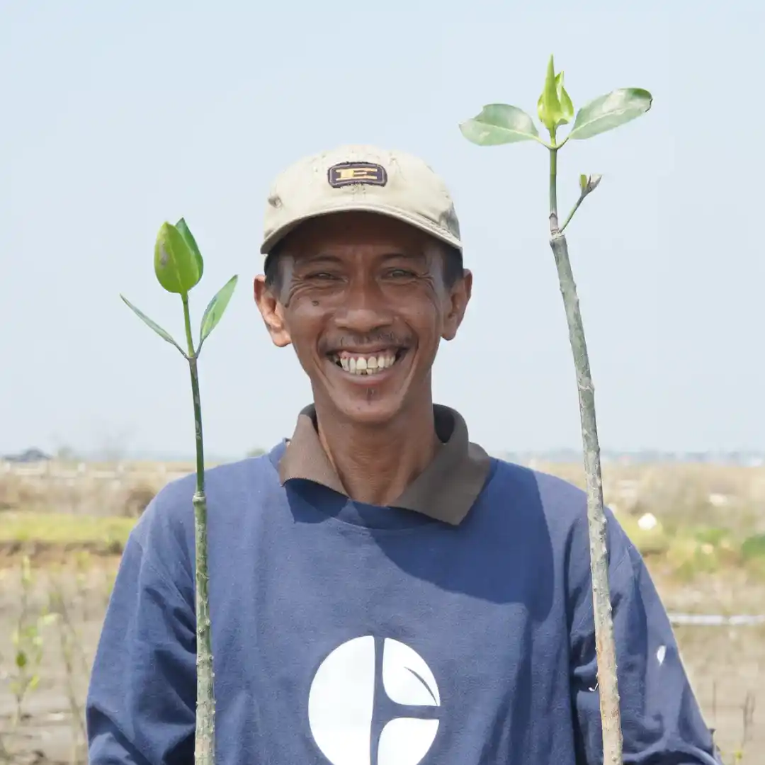 Kardi