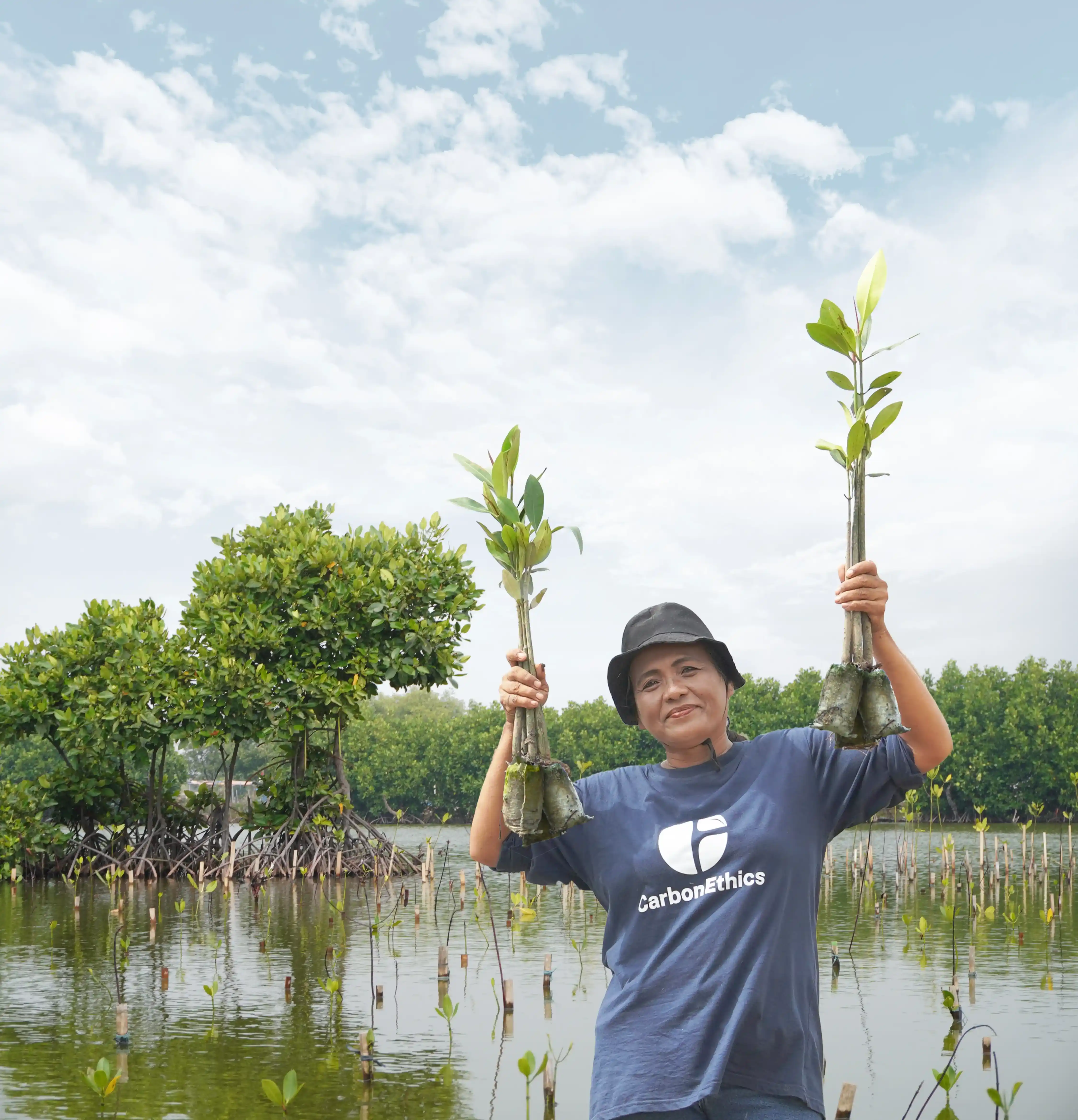 Transjakarta Mangrove Project
